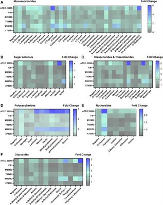 Acinetobacter calcoaceticus is Well Adapted to Withstand Intestinal Stressors and Modulate the Gut Epithelium